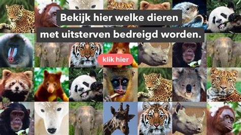 dier gezien beschermde dieren in nederland en belgi Epub
